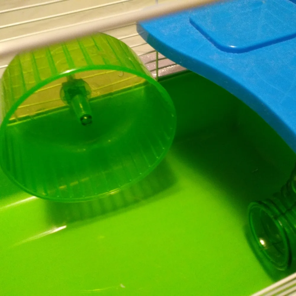 Hamster and Gerbil Home, New-NO BOX Simple No-Tool Assembly, 15inX 9inX 15.1in
